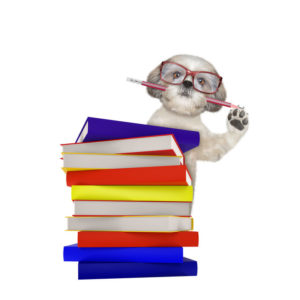 Intermediate - 6 Week Course Beginning 9/24/24 @ 7:30pm